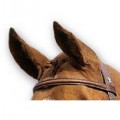 SABRE RAISED & PADDED BROW